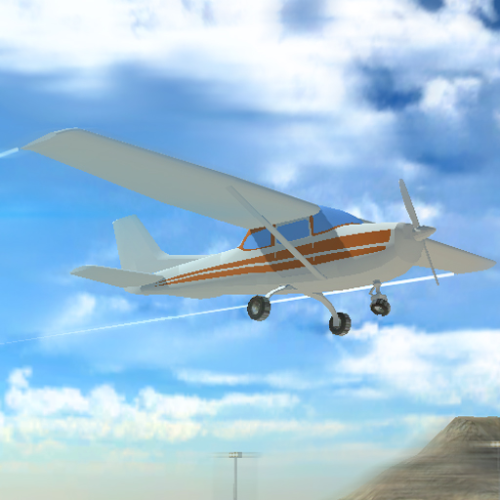 Real Flight Simulator